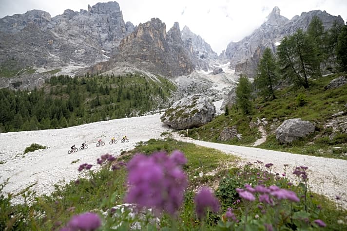 Der Superstar unter den diesjährigen BIKE Transalp-Passagen: der Passo Rolle mit sagenhaftem Dolomiten-Panorama