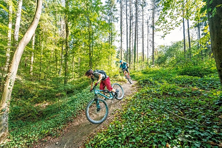 Die Mountainbike-Trails im Meeswald wurden den tschechischen Trailcentern nachempfunden, die zu den besten der Welt zählen.