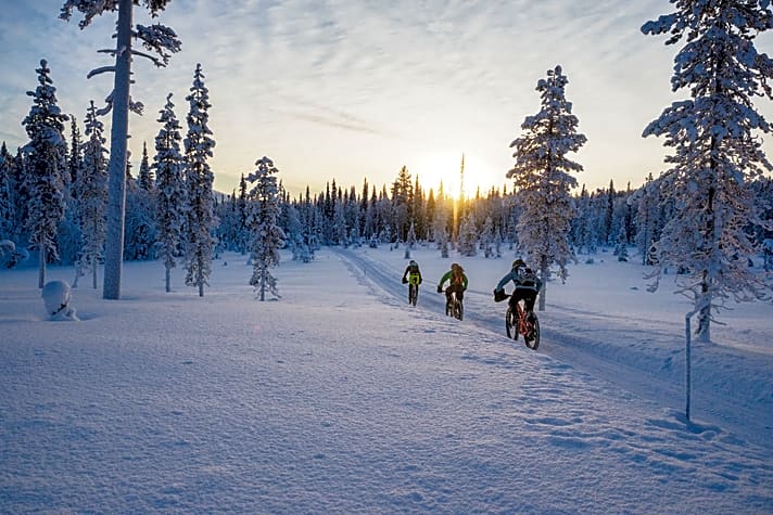 Fatbike-Expedition Lappland