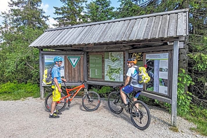 Legaliseer het: Mountainbikers kunnen zich ook welkom voelen in het Black Forest National Park.