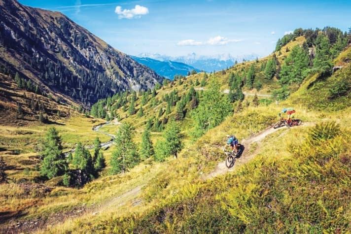   Die Sektion nach dem Langwiedboden bietet einige Trail-Passagen, die den Schotterweg immer wieder abkürzen.