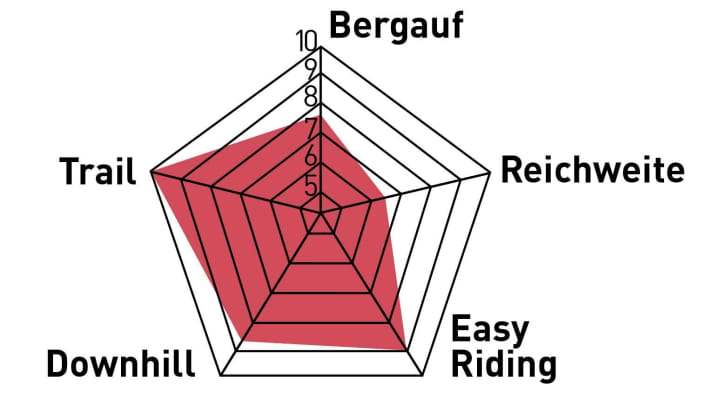 Ons diagram toont in één oogopslag de sterke en zwakke punten van de fietsen in de test (voorbeeld).