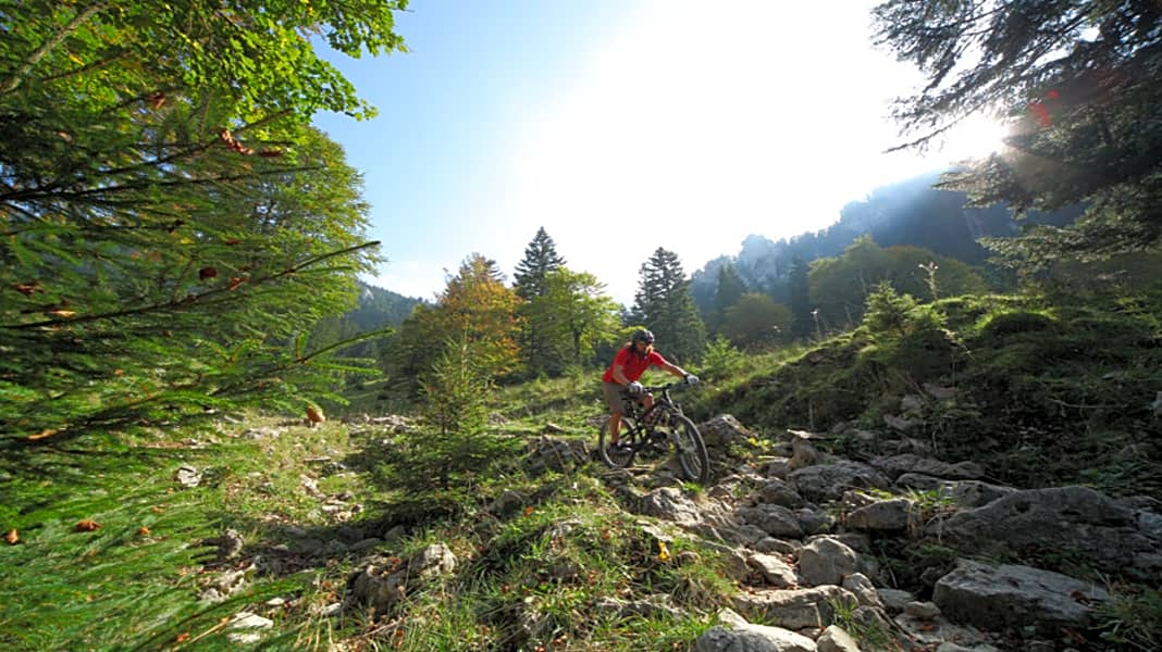 mtb tour benediktenwand