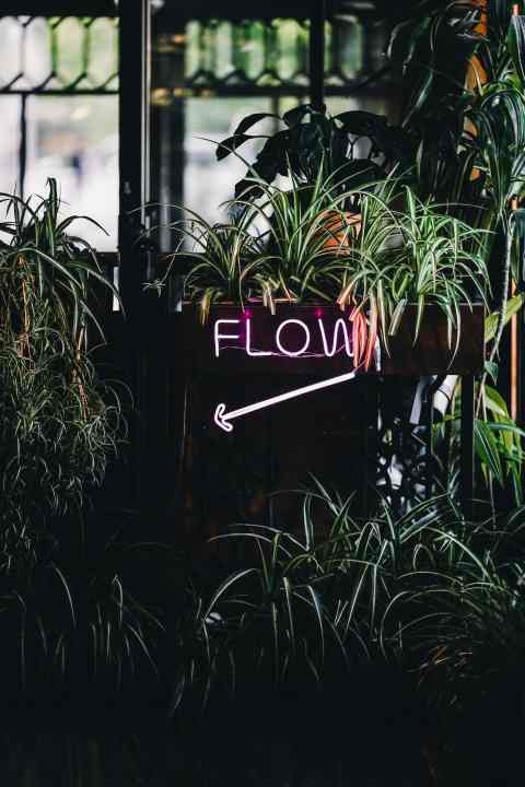 Flow ist längst zu einem Art magischen Wort geworden. In der Arbeit, beim Sex und im Sport streben Menschen nach diesem Zustand.