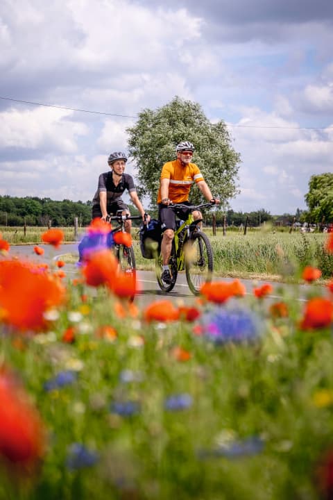 Entspanntes Radeln in der Provinz Hennegau