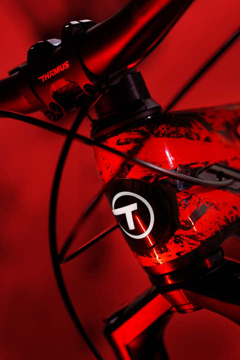 Die Athlet/innen des Thömus-maxon-Teams werden ebenfalls mit der Sonderlackierung bei der MTB-WM in Schweiz antreten. Klarer Heimvorteil für Flückiger & Co.