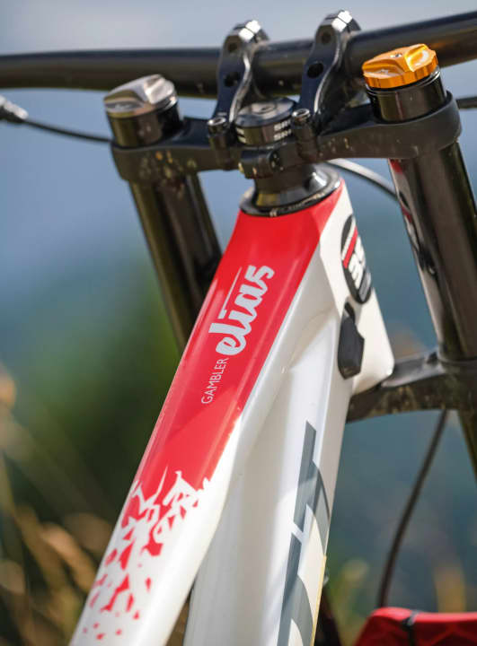 „Mit dieser Sonderlackierung hat mich mein Sponsor Scott überrascht. Cool! Und ich habe schon wieder ein Neues gekriegt. Demnächst fahre ich ein Bike ganz in Pink – das ist Wahnsinn.“ 