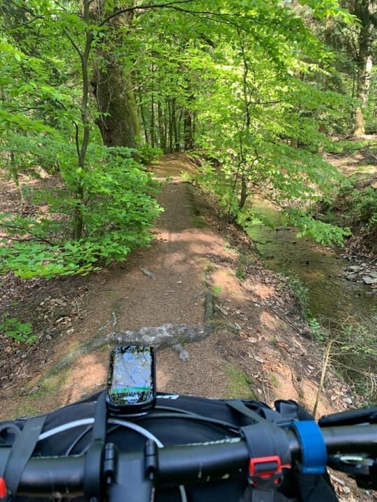 Der Hasselbachgraben-Trail: Fast sechs Kilometer lang, flüssig zu fahren und landschaftlich erste Sahne.