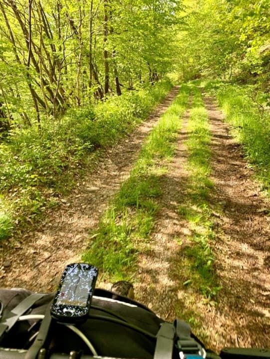 Die meisten Höhenmeter des Tages bescherte mir der <a href="https://www.facebook.com/Nationalpark.Eifel/" target="_blank" rel="noopener noreferrer nofollow">Nationalpark Eifel</a> , hintenraus kratzten die Anstiege gerade mal an der 100-Höhenmeter-Marke.