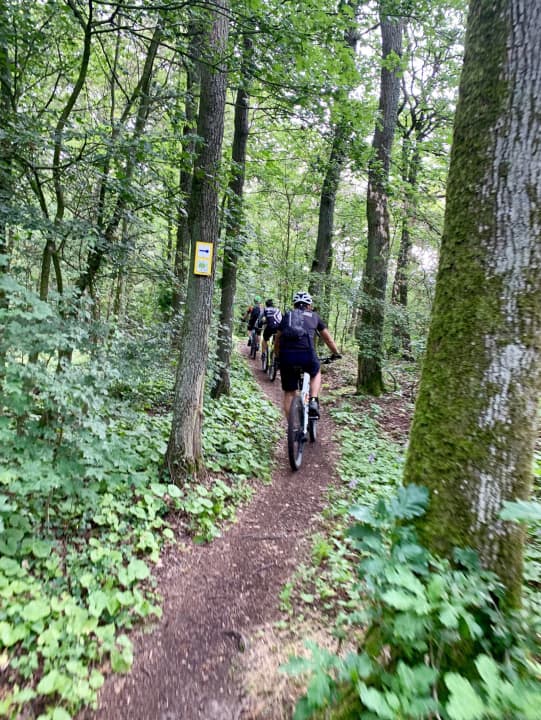 Der erste Trail des Tages nahe der Klinik am Steigerwald.