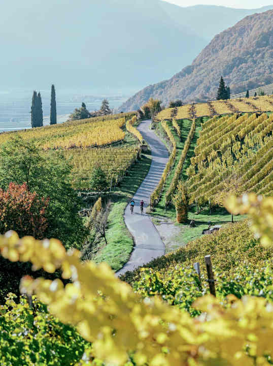 In Südtirol befinden sich einige der schönsten Weinregionen überhaupt – ideal für Radfahrer.