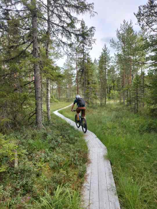 Schmale Pfade durchs skandinavische Hinterland: Das Specialized Epic kann nicht nur bierernstes Racing, sondern auch Touren im Urlaubs-Tempo.
